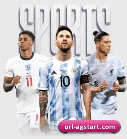 五大服务分区,信息按项目分类 | ag